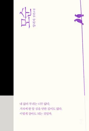 모순 — 모순 (소설) 표지